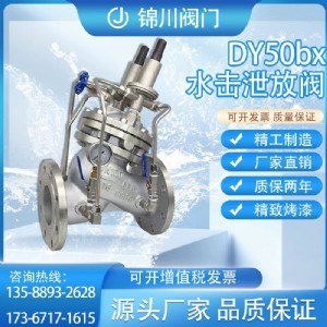 DY50bx水击泄放阀